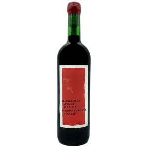 Valpolicella Classico Superiore 2020 Il Sasso