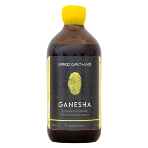 Ganesha Alchimia